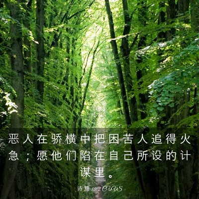 Picture 03 - 诗 篇 10:2 CUVS - 恶 人 在 骄 横 中 把 困 苦 人 追 得 - Bible Verse Picture