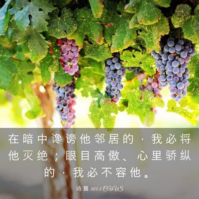 Picture 03 - 诗 篇 101:5 CUVS - 在 暗 中 谗 谤 他 邻 居 的 ， 我 必 - Bible Verse Picture