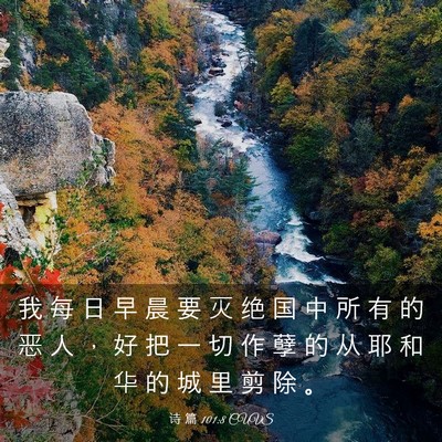 Picture 03 - 诗 篇 101:8 CUVS - 我 每 日 早 晨 要 灭 绝 国 中 所 有 - Bible Verse Picture