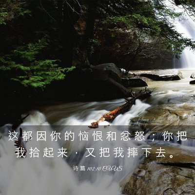 Picture 03 - 诗 篇 102:10 CUVS - 这 都 因 你 的 恼 恨 和 忿 怒 ； 你 - Bible Verse Picture