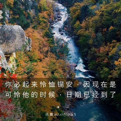 Picture 03 - 诗 篇 102:13 CUVS - 你 必 起 来 怜 恤 锡 安 ， 因 现 在 - Bible Verse Picture