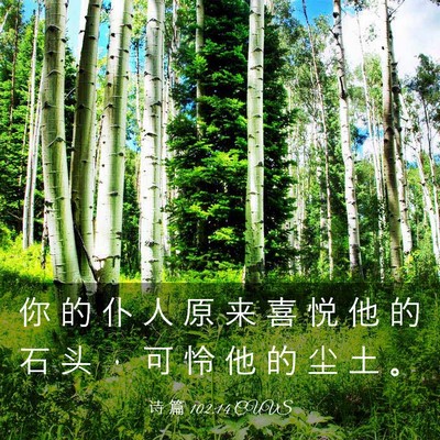 Picture 03 - 诗 篇 102:14 CUVS - 你 的 仆 人 原 来 喜 悦 他 的 石 头 - Bible Verse Picture