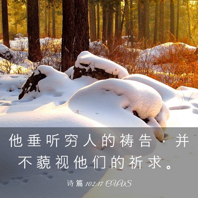 Picture 03 - 诗 篇 102:17 CUVS - 他 垂 听 穷 人 的 祷 告 ， 并 不 藐 - Bible Verse Picture