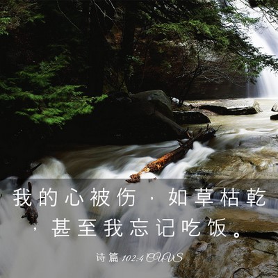 Picture 03 - 诗 篇 102:4 CUVS - 我 的 心 被 伤 ， 如 草 枯 乾 ， 甚 - Bible Verse Picture