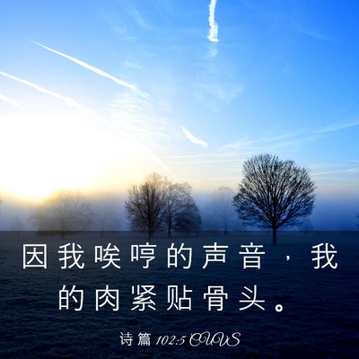 Picture 03 - 诗 篇 102:5 CUVS - 因 我 唉 哼 的 声 音 ， 我 的 肉 紧 - Bible Verse Picture