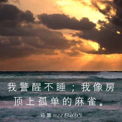 Picture 03 - 诗 篇 102:7 CUVS - 我 警 醒 不 睡 ； 我 像 房 顶 上 孤 - Bible Verse Picture