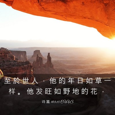 Picture 03 - 诗 篇 103:15 CUVS - 至 於 世 人 ， 他 的 年 日 如 草 一 - Bible Verse Picture