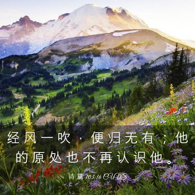 Picture 03 - 诗 篇 103:16 CUVS - 经 风 一 吹 ， 便 归 无 有 ； 他 的 - Bible Verse Picture