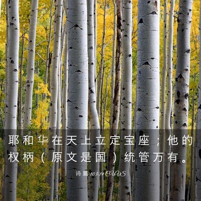 Picture 03 - 诗 篇 103:19 CUVS - 耶 和 华 在 天 上 立 定 宝 座 ； 他 - Bible Verse Picture