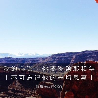 Picture 03 - 诗 篇 103:2 CUVS - 我 的 心 哪 ， 你 要 称 颂 耶 和 华 - Bible Verse Picture