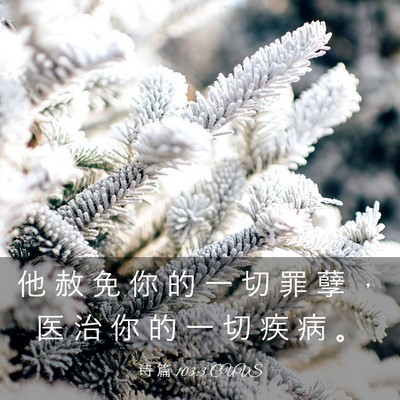 Picture 03 - 诗 篇 103:3 CUVS - 他 赦 免 你 的 一 切 罪 孽 ， 医 治 - Bible Verse Picture