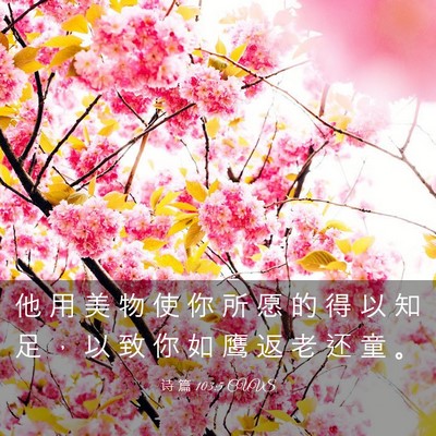 Picture 03 - 诗 篇 103:5 CUVS - 他 用 美 物 使 你 所 愿 的 得 以 知 - Bible Verse Picture