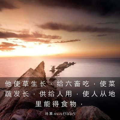 Picture 03 - 诗 篇 104:14 CUVS - 他 使 草 生 长 ， 给 六 畜 吃 ， 使 - Bible Verse Picture