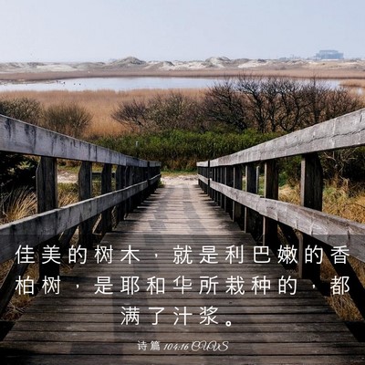 Picture 03 - 诗 篇 104:16 CUVS - 佳 美 的 树 木 ， 就 是 利 巴 嫩 的 - Bible Verse Picture
