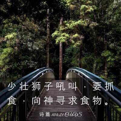 Picture 03 - 诗 篇 104:21 CUVS - 少 壮 狮 子 吼 叫 ， 要 抓 食 ， 向 - Bible Verse Picture