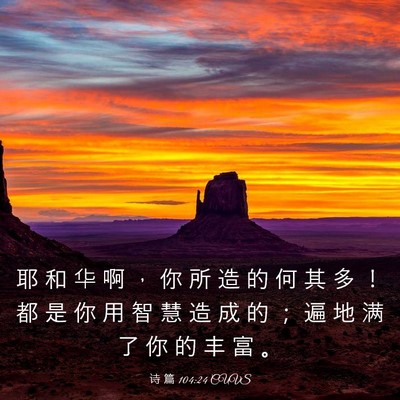 Picture 03 - 诗 篇 104:24 CUVS - 耶 和 华 啊 ， 你 所 造 的 何 其 多 - Bible Verse Picture