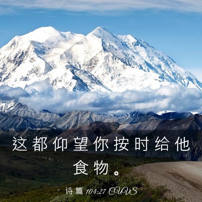 Picture 03 - 诗 篇 104:27 CUVS - 这 都 仰 望 你 按 时 给 他 食 物 - Bible Verse Picture