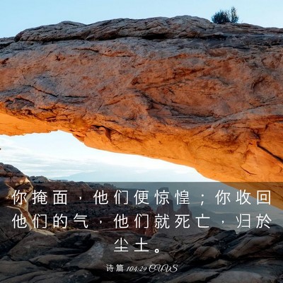 Picture 03 - 诗 篇 104:29 CUVS - 你 掩 面 ， 他 们 便 惊 惶 ； 你 收 - Bible Verse Picture