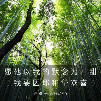 Picture 03 - 诗 篇 104:34 CUVS - 愿 他 以 我 的 默 念 为 甘 甜 ！ 我 - Bible Verse Picture