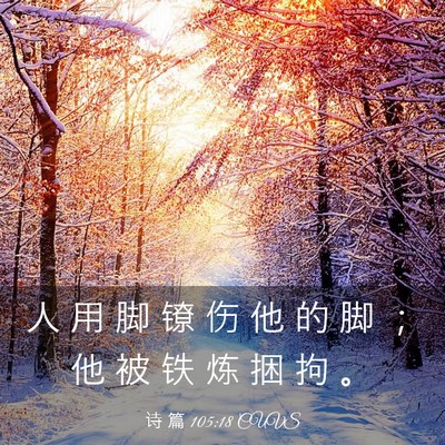 Picture 03 - 诗 篇 105:18 CUVS - 人 用 脚 镣 伤 他 的 脚 ； 他 被 铁 - Bible Verse Picture
