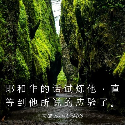 Picture 03 - 诗 篇 105:19 CUVS - 耶 和 华 的 话 试 炼 他 ， 直 等 到 - Bible Verse Picture
