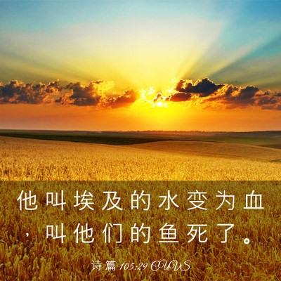 Picture 03 - 诗 篇 105:29 CUVS - 他 叫 埃 及 的 水 变 为 血 ， 叫 他 - Bible Verse Picture