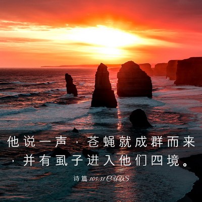 Picture 03 - 诗 篇 105:31 CUVS - 他 说 一 声 ， 苍 蝇 就 成 群 而 来 - Bible Verse Picture