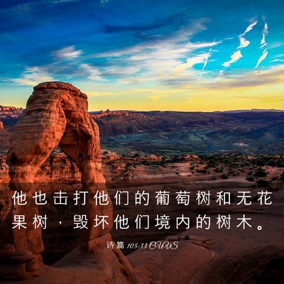 Picture 03 - 诗 篇 105:33 CUVS - 他 也 击 打 他 们 的 葡 萄 树 和 无 - Bible Verse Picture