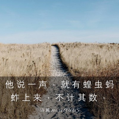 Picture 03 - 诗 篇 105:34 CUVS - 他 说 一 声 ， 就 有 蝗 虫 蚂 蚱 上 - Bible Verse Picture