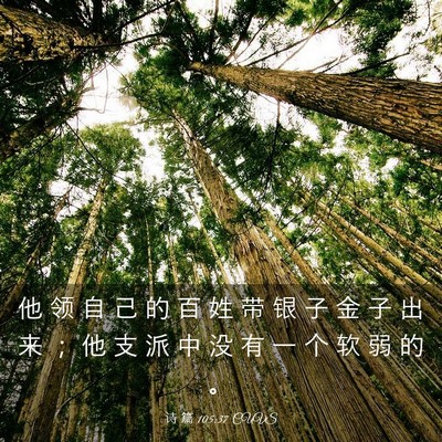 Picture 03 - 诗 篇 105:37 CUVS - 他 领 自 己 的 百 姓 带 银 子 金 子 - Bible Verse Picture