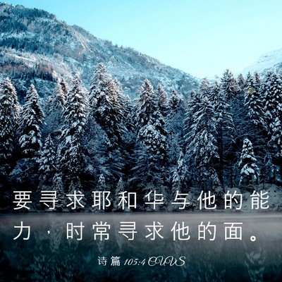 Picture 03 - 诗 篇 105:4 CUVS - 要 寻 求 耶 和 华 与 他 的 能 力 ， - Bible Verse Picture