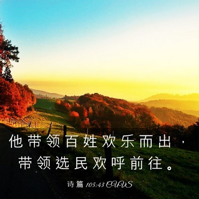 Picture 03 - 诗 篇 105:43 CUVS - 他 带 领 百 姓 欢 乐 而 出 ， 带 领 - Bible Verse Picture