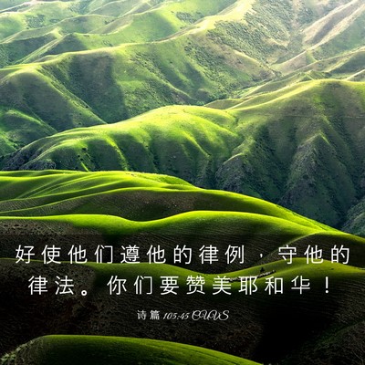 Picture 03 - 诗 篇 105:45 CUVS - 好 使 他 们 遵 他 的 律 例 ， 守 他 - Bible Verse Picture