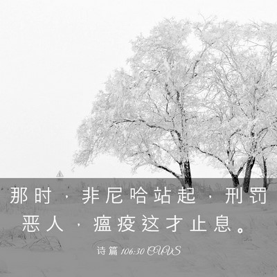 Picture 03 - 诗 篇 106:30 CUVS - 那 时 ， 非 尼 哈 站 起 ， 刑 罚 恶 - Bible Verse Picture