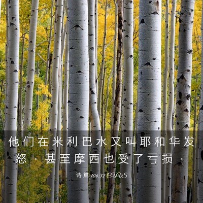 Picture 03 - 诗 篇 106:32 CUVS - 他 们 在 米 利 巴 水 又 叫 耶 和 华 - Bible Verse Picture