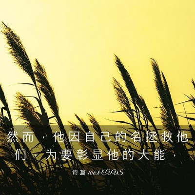 Picture 03 - 诗 篇 106:8 CUVS - 然 而 ， 他 因 自 己 的 名 拯 救 他 - Bible Verse Picture