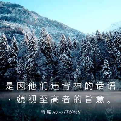 Picture 03 - 诗 篇 107:11 CUVS - 是 因 他 们 违 背 神 的 话 语 ， 藐 - Bible Verse Picture