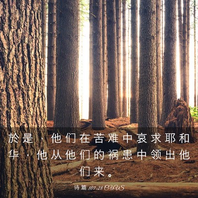 Picture 03 - 诗 篇 107:28 CUVS - 於 是 ， 他 们 在 苦 难 中 哀 求 耶 - Bible Verse Picture