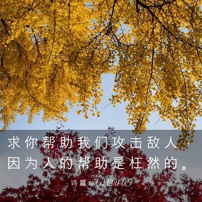 Picture 03 - 诗 篇 108:12 CUVS - 求 你 帮 助 我 们 攻 击 敌 人 ， 因 - Bible Verse Picture