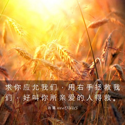 Picture 03 - 诗 篇 108:6 CUVS - 求 你 应 允 我 们 ， 用 右 手 拯 救 - Bible Verse Picture