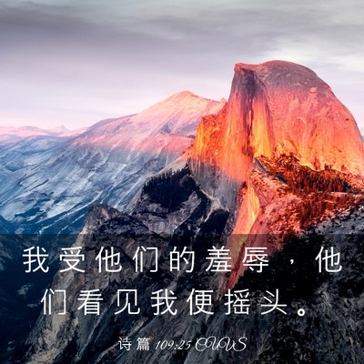 Picture 03 - 诗 篇 109:25 CUVS - 我 受 他 们 的 羞 辱 ， 他 们 看 见 - Bible Verse Picture