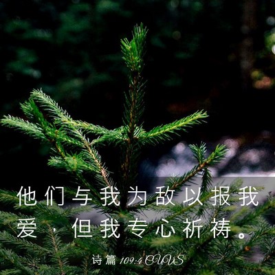 Picture 03 - 诗 篇 109:4 CUVS - 他 们 与 我 为 敌 以 报 我 爱 ， 但 - Bible Verse Picture