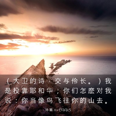 Picture 03 - 诗 篇 11:1 CUVS - （ 大 卫 的 诗 ， 交 与 伶 长 。 ） - Bible Verse Picture