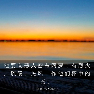 Picture 03 - 诗 篇 11:6 CUVS - 他 要 向 恶 人 密 布 网 罗 ； 有 烈 - Bible Verse Picture