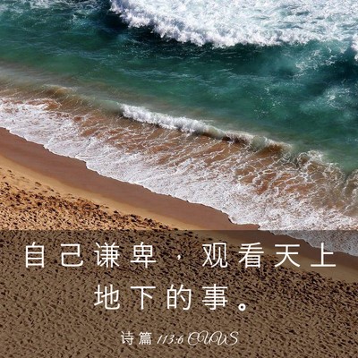 Picture 03 - 诗 篇 113:6 CUVS - 自 己 谦 卑 ， 观 看 天 上 地 下 的 - Bible Verse Picture