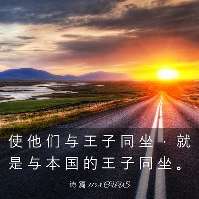 Picture 03 - 诗 篇 113:8 CUVS - 使 他 们 与 王 子 同 坐 ， 就 是 与 - Bible Verse Picture
