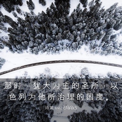 Picture 03 - 诗 篇 114:2 CUVS - 那 时 ， 犹 大 为 主 的 圣 所 ， 以 - Bible Verse Picture