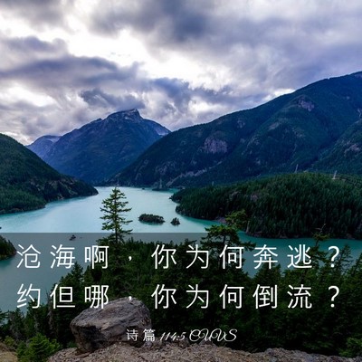 Picture 03 - 诗 篇 114:5 CUVS - 沧 海 啊 ， 你 为 何 奔 逃 ？ 约 但 - Bible Verse Picture