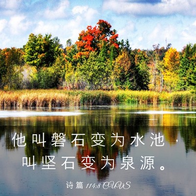 Picture 03 - 诗 篇 114:8 CUVS - 他 叫 磐 石 变 为 水 池 ， 叫 坚 石 - Bible Verse Picture
