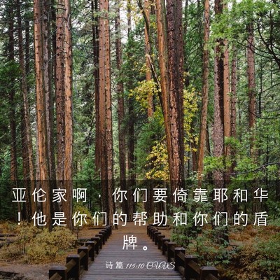 Picture 03 - 诗 篇 115:10 CUVS - 亚 伦 家 啊 ， 你 们 要 倚 靠 耶 和 - Bible Verse Picture